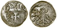 Polska, denar, 1556