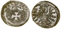 Polska, denar, 1557