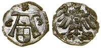 Prusy Książęce (1525–1657), denar, 1563