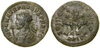Cesarstwo Rzymskie, antoninian bilonowy, (276–282)