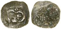 Austria, denar jednostronny, 1314–1330