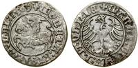 Polska, półgrosz, 1509