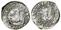 Polska, półgrosz, 1510