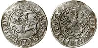 Polska, półgrosz, 1510
