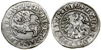 Polska, półgrosz, 1511