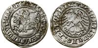 Polska, półgrosz, 1512
