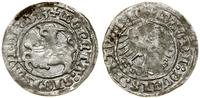 Polska, półgrosz, 1513