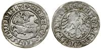 Polska, półgrosz, 1513