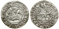 Polska, półgrosz, 1515