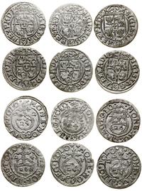 Polska, zestaw: 6 x półtorak, 1620–1624