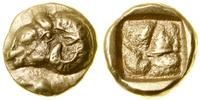 hekte (ok. 521–478 pne), Aw: Głowa barana w lewo