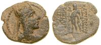 brąz (95–56 pne), Tigranocerta, Aw: Popiersie wł
