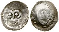 Wielkie Księstwo Riazańskie, dienga, (1427–1456)