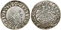 Prusy Książęce (1525–1657), grosz, 1545