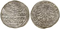 Polska, grosz, 1528