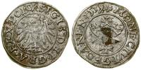 Polska, szeląg, 1539