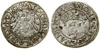 Polska, szeląg, 1546