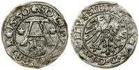Prusy Książęce (1525–1657), szeląg, 1550