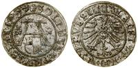 Prusy Książęce (1525–1657), szeląg, 1557