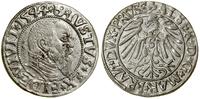 Prusy Książęce (1525–1657), grosz, 1544
