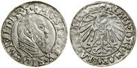 Prusy Książęce (1525–1657), grosz, 1545