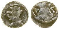 Pomorze, denar, (1408–ok. 1440)