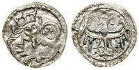 Śląsk, halerz, (1441–1446)