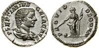 denar (203–208), Rzym, Aw: Popiersie cezara w pr
