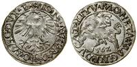 Polska, półgrosz, 1562