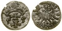 denar 1555, Gdańsk, patyna, nieznacznie wyszczer