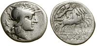 Republika Rzymska, denar, (118–117 pne)