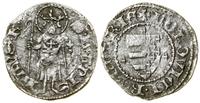 Polska, denar, (1366–1382)