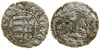 Polska, denar, (ok. 1444)