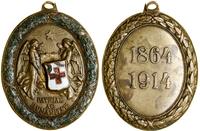 Austro-Węgry, Brązowy Medal Honorowy Czerwonego Krzyża