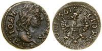 Polska, szeląg miedziany (boratynka), 1661 TLB