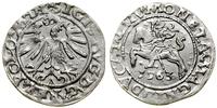 Polska, półgrosz, 1563