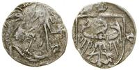 Śląsk, halerz, bez daty (przed 1431 (?) i ok. 1432–1449