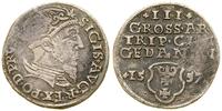 Polska, trojak, 1557