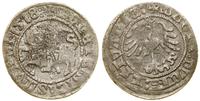 Polska, półgrosz, 1518