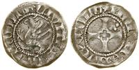 Pomorze Zachodnie, wit, (1405–1449)