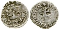 Polska, denar, (ok. 1358–1366)