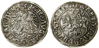 Polska, półgrosz, 1547