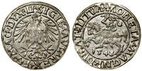 Polska, półgrosz, 1548