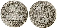 Polska, półgrosz, 1555