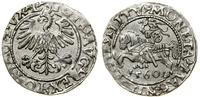 Polska, półgrosz, 1560