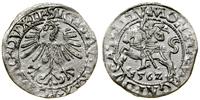 Polska, półgrosz, 1562