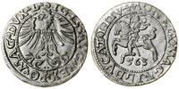 Polska, półgrosz, 1563