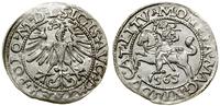 Polska, półgrosz, 1565