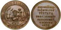 Czechy, medal pamiątkowy, 1876