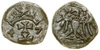 Polska, denar, 1547